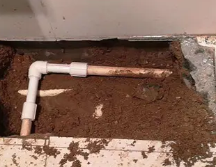 新平测漏水哪家好