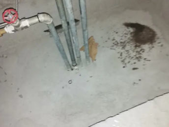 新平卫生间测漏水价格明细