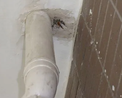 新平漏水检测哪家好